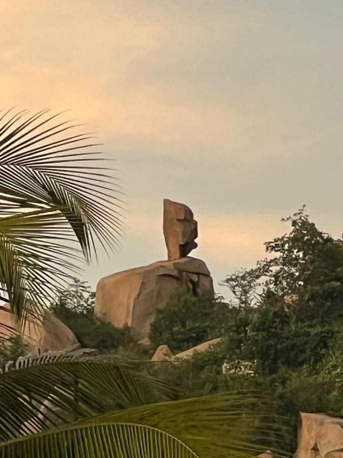 Banana Tree Farm stay Hampi