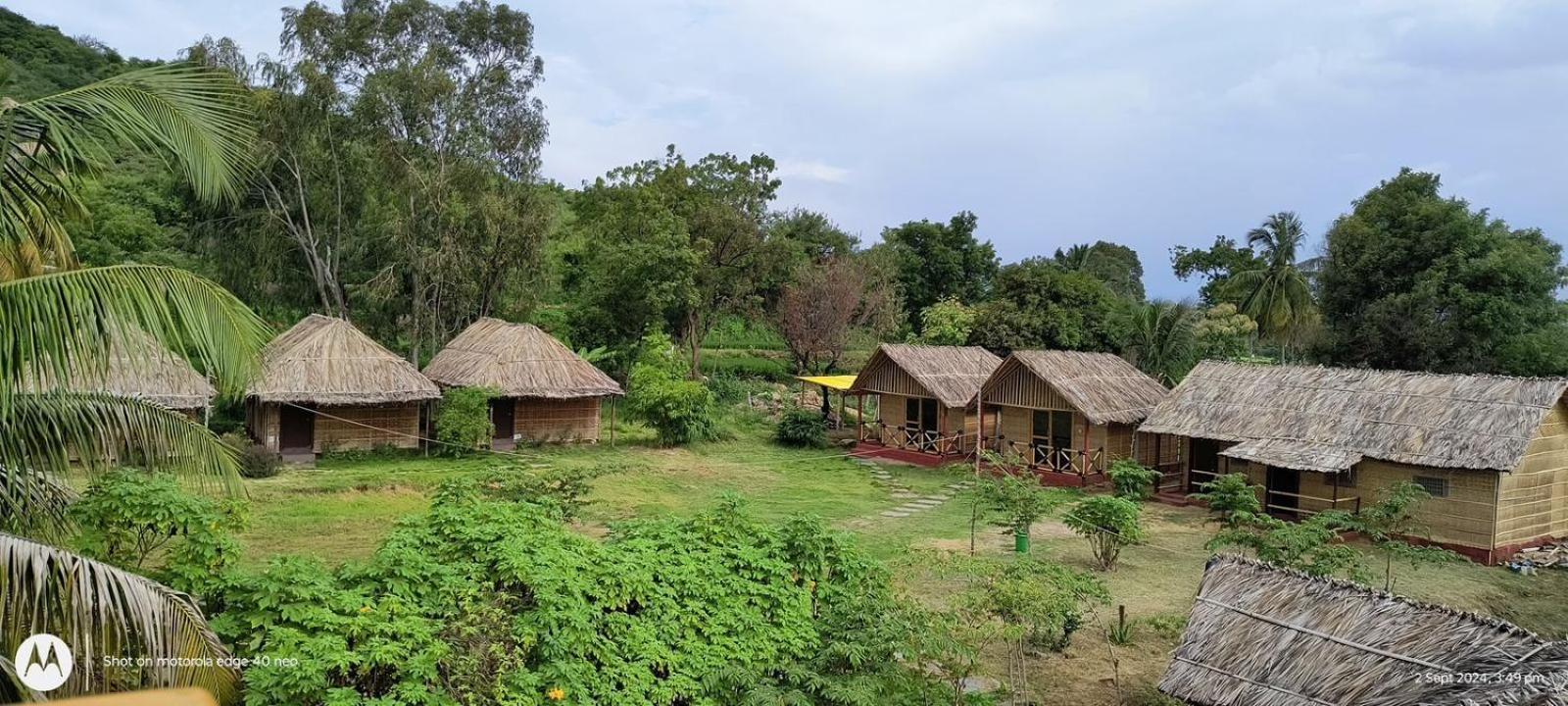 Banana Tree Farm stay