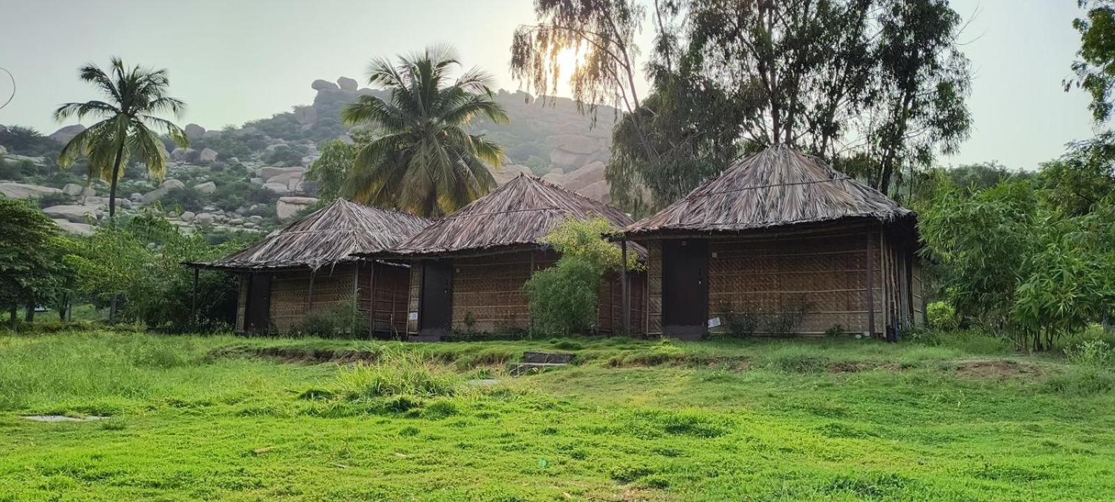 Banana Tree Farm stay