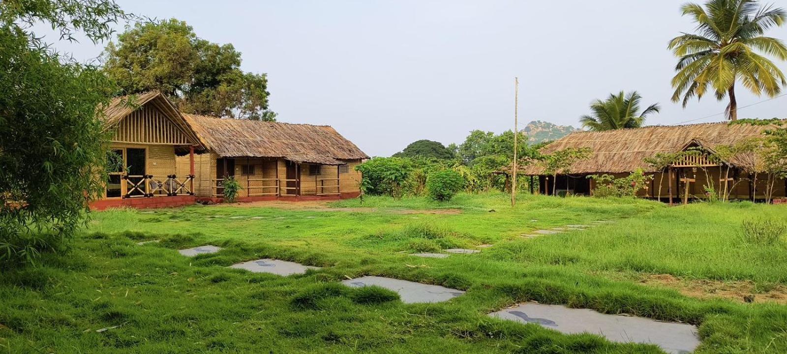 Banana Tree Farm stay Hampi